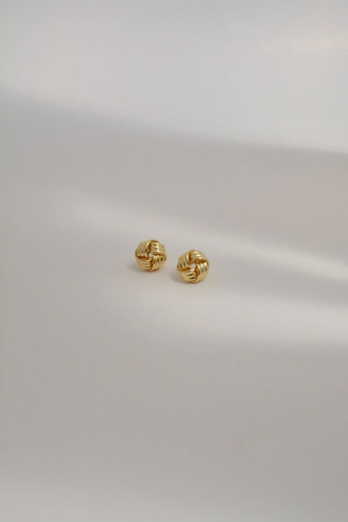 Aretes Enlace