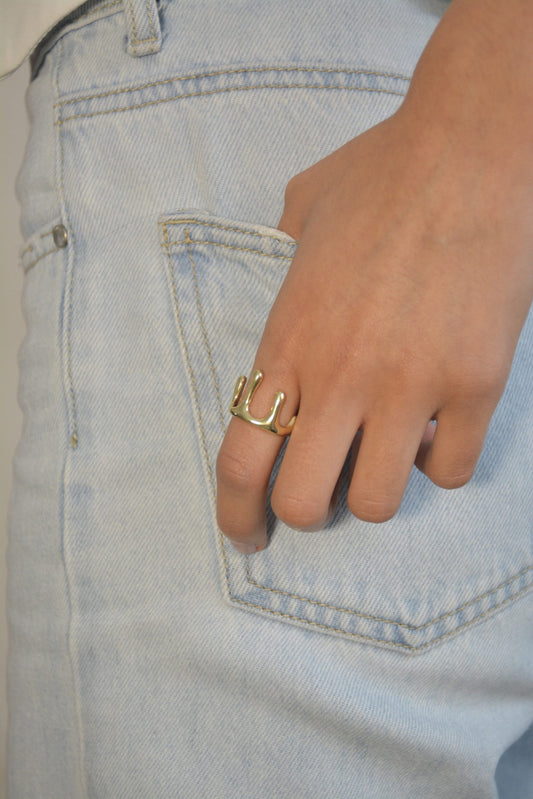 Anillo Magma