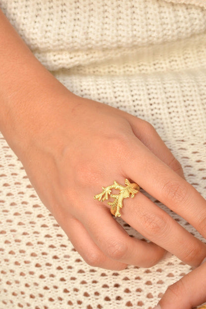 Anillo Providencia