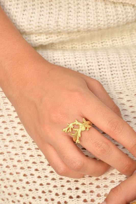 Anillo Providencia