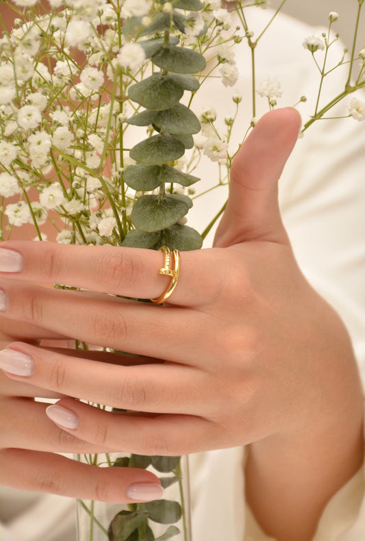 Anillo Clavé