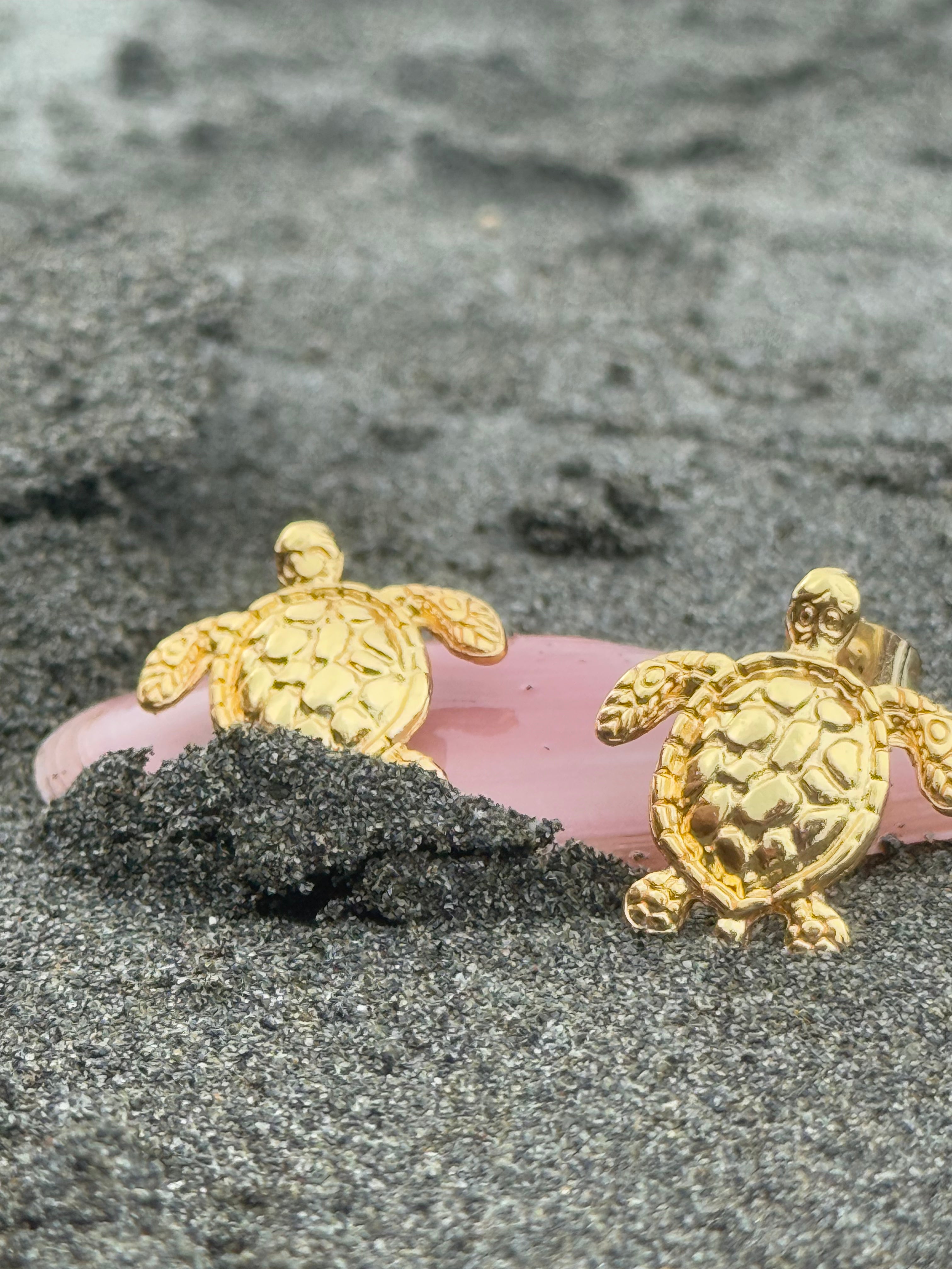 Florida Tortugas pequeñas