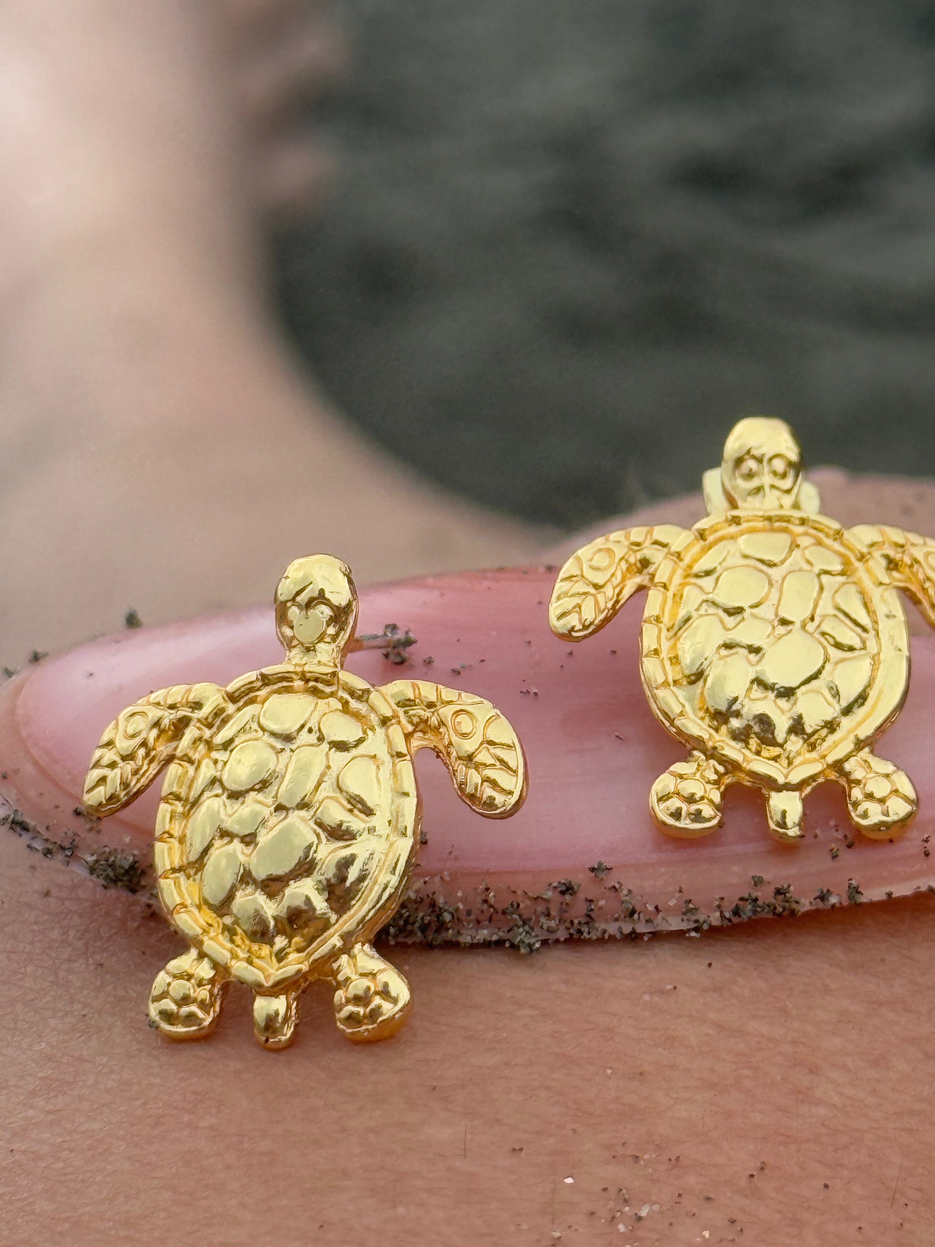 Florida Tortugas pequeñas