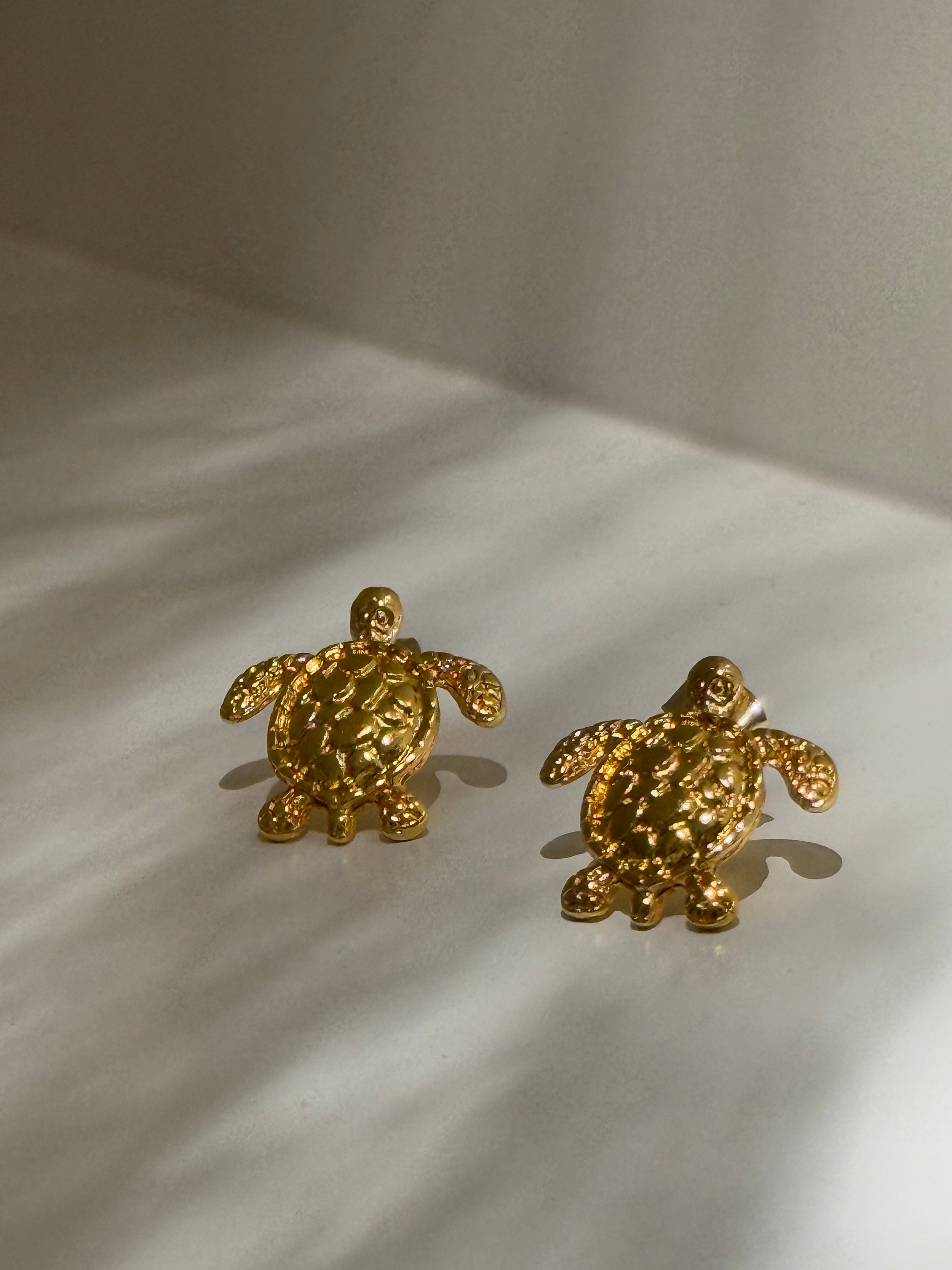 Florida Tortugas pequeñas