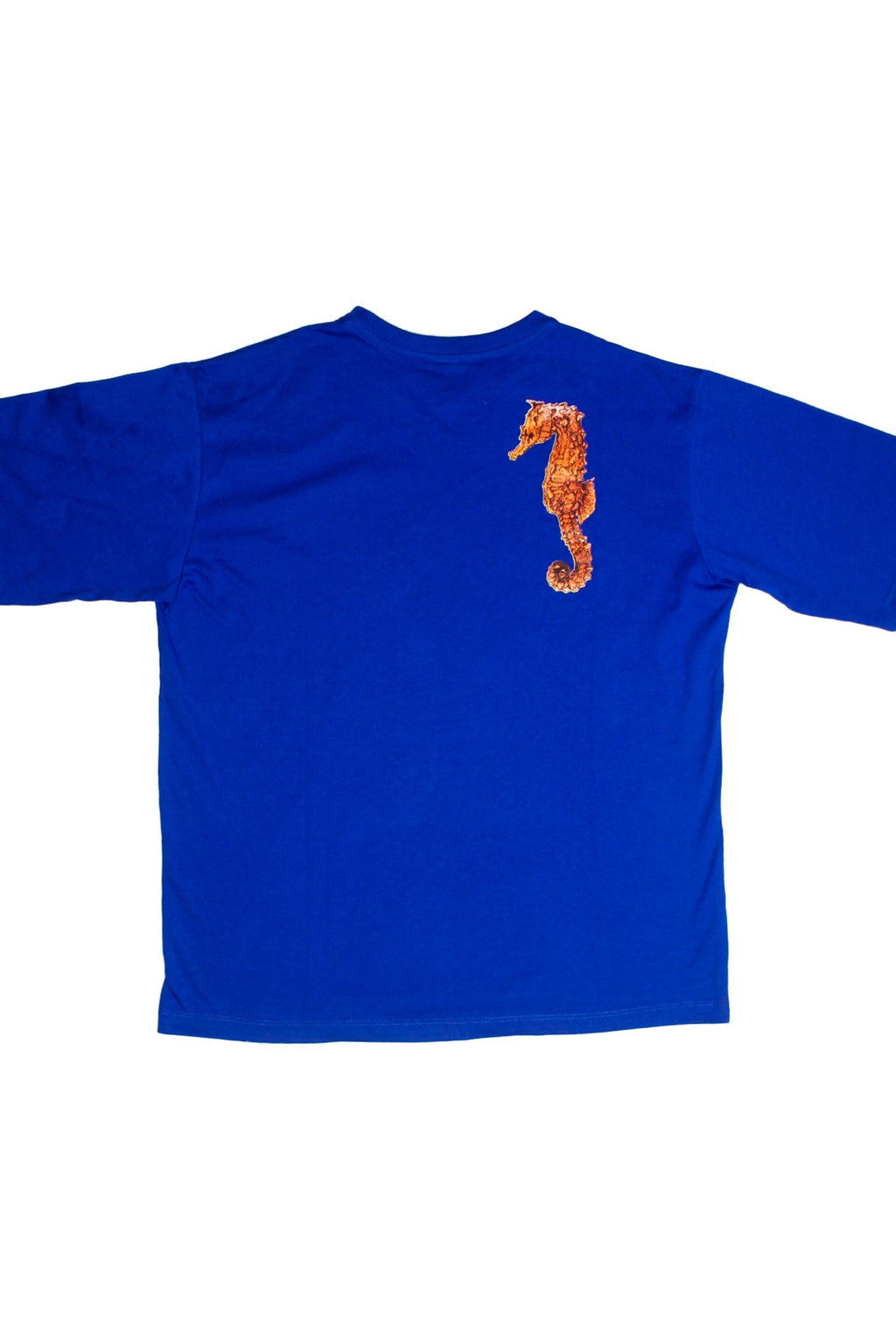 TShirt Hippocampus