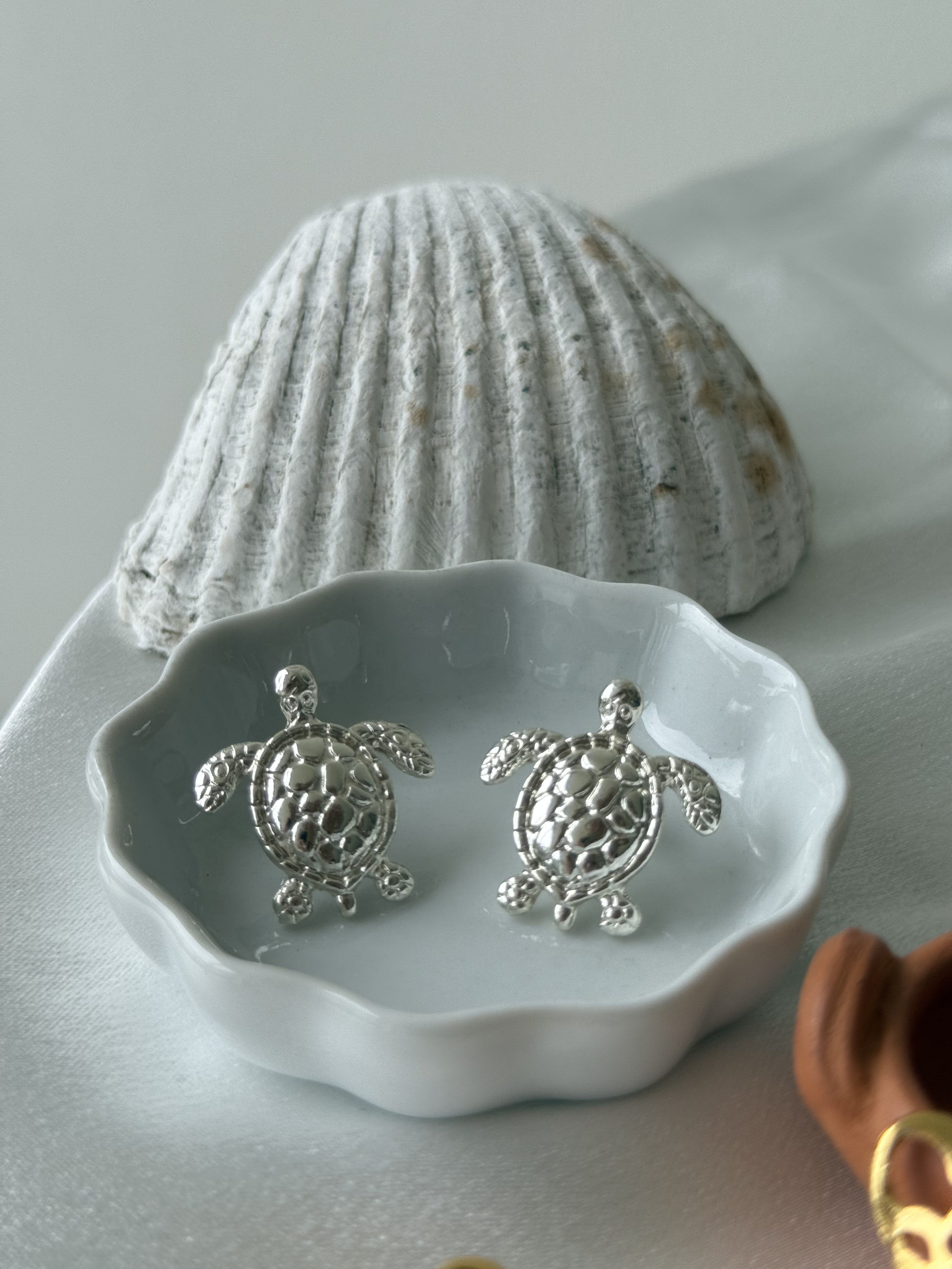 Florida Tortugas pequeñas