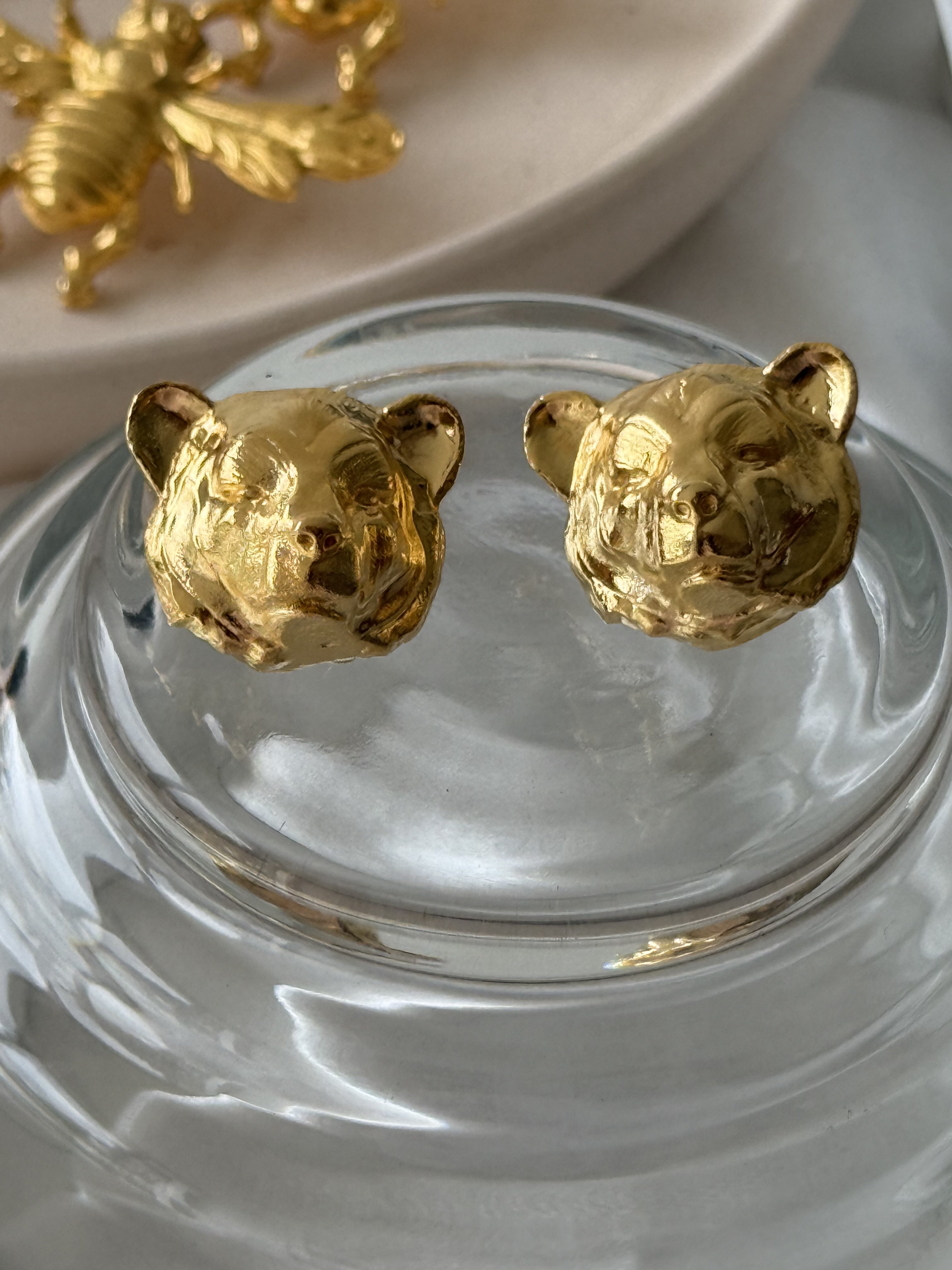 Huella del Páramo Osos