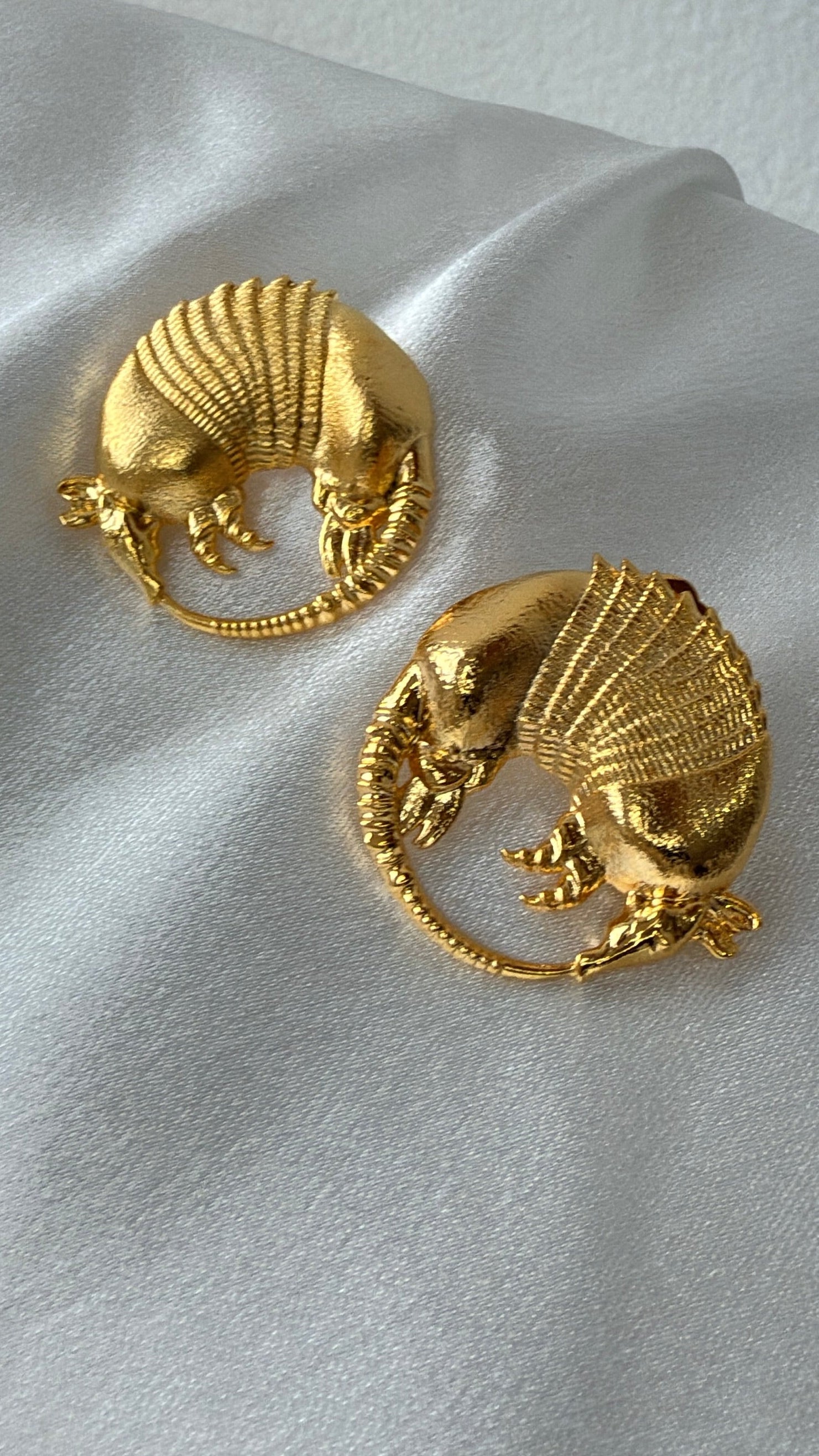 Joropo Dorado Armadillo