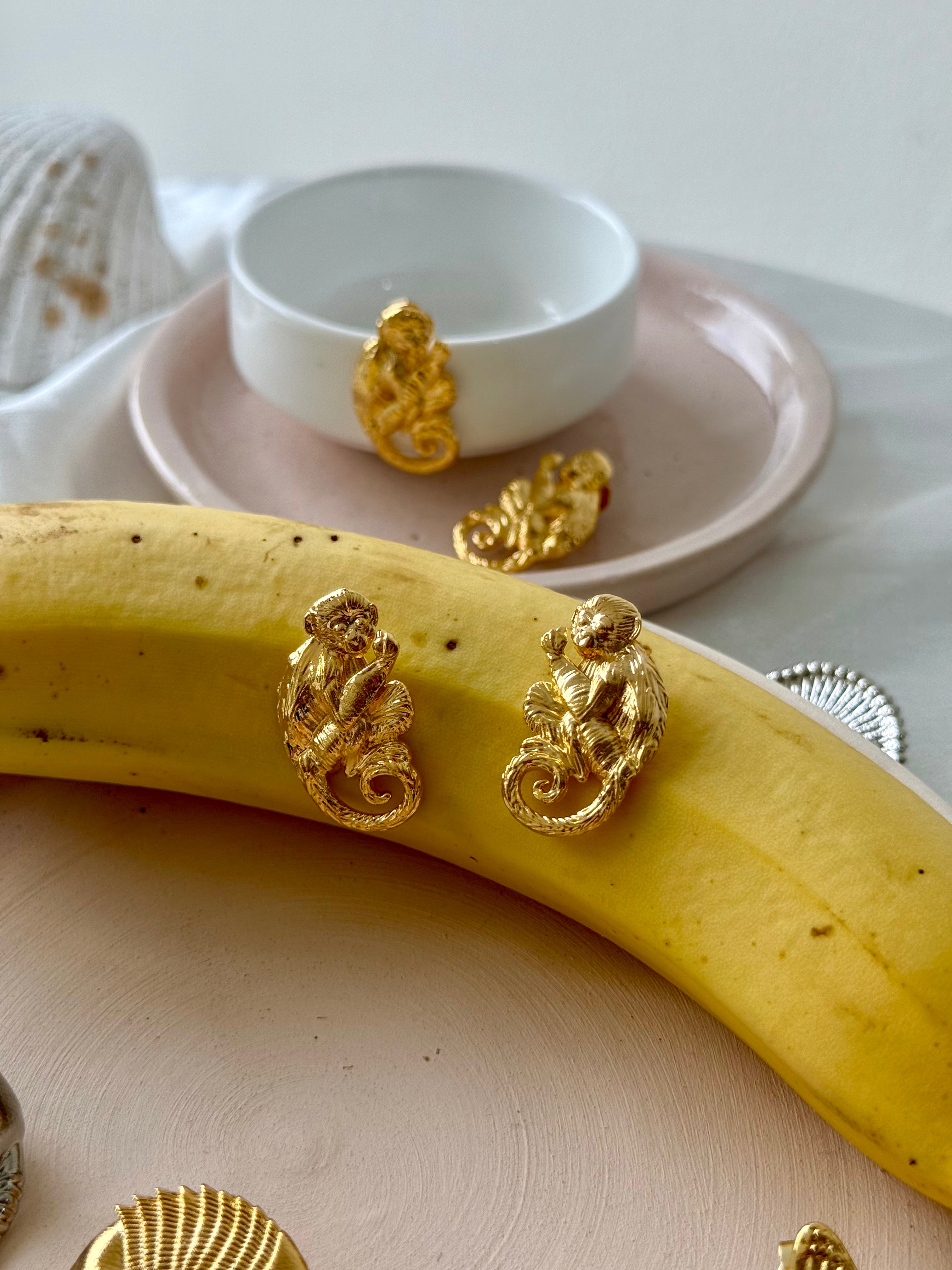 Salto del Amazonas Micos