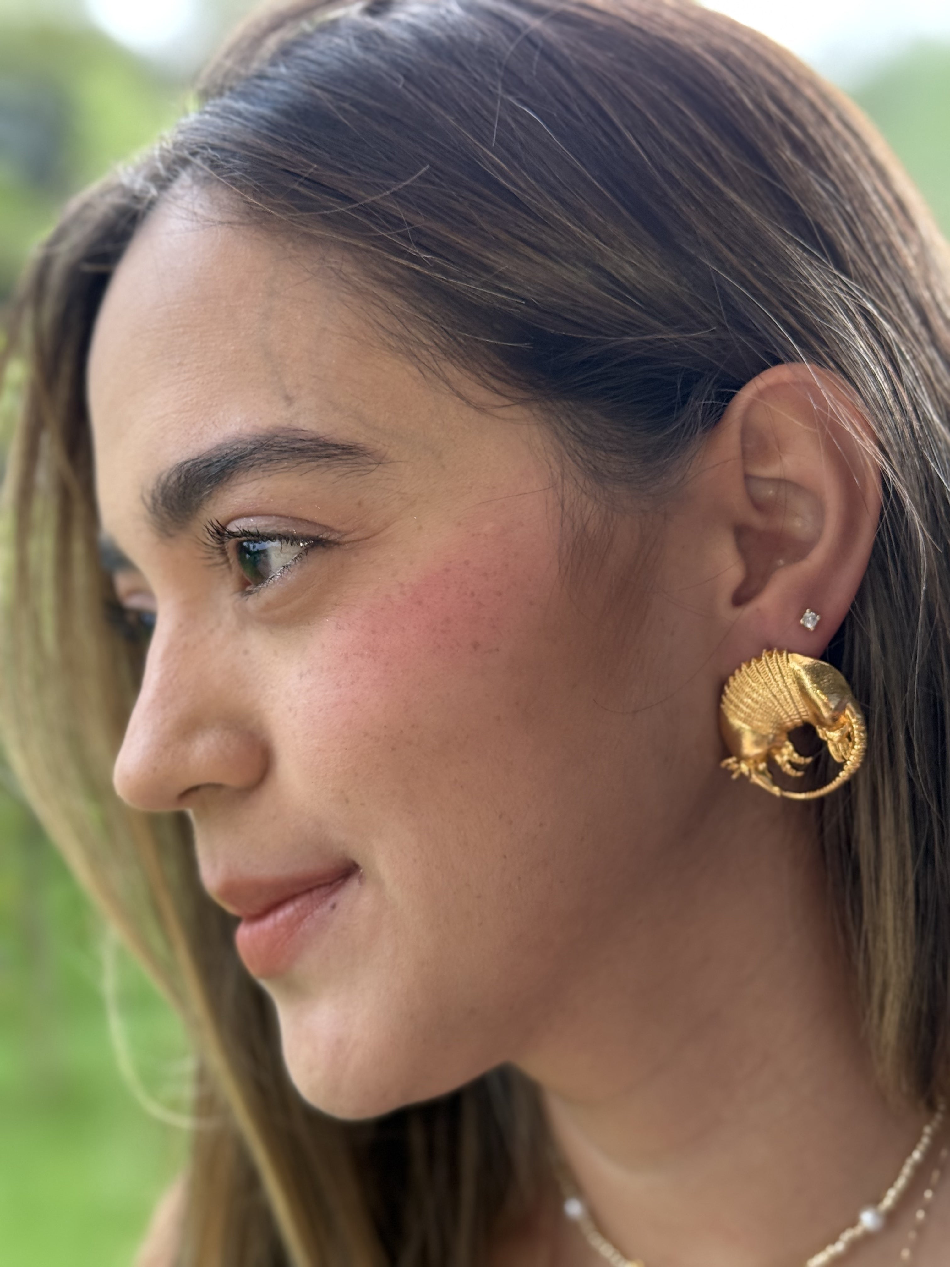 Joropo Dorado Armadillo