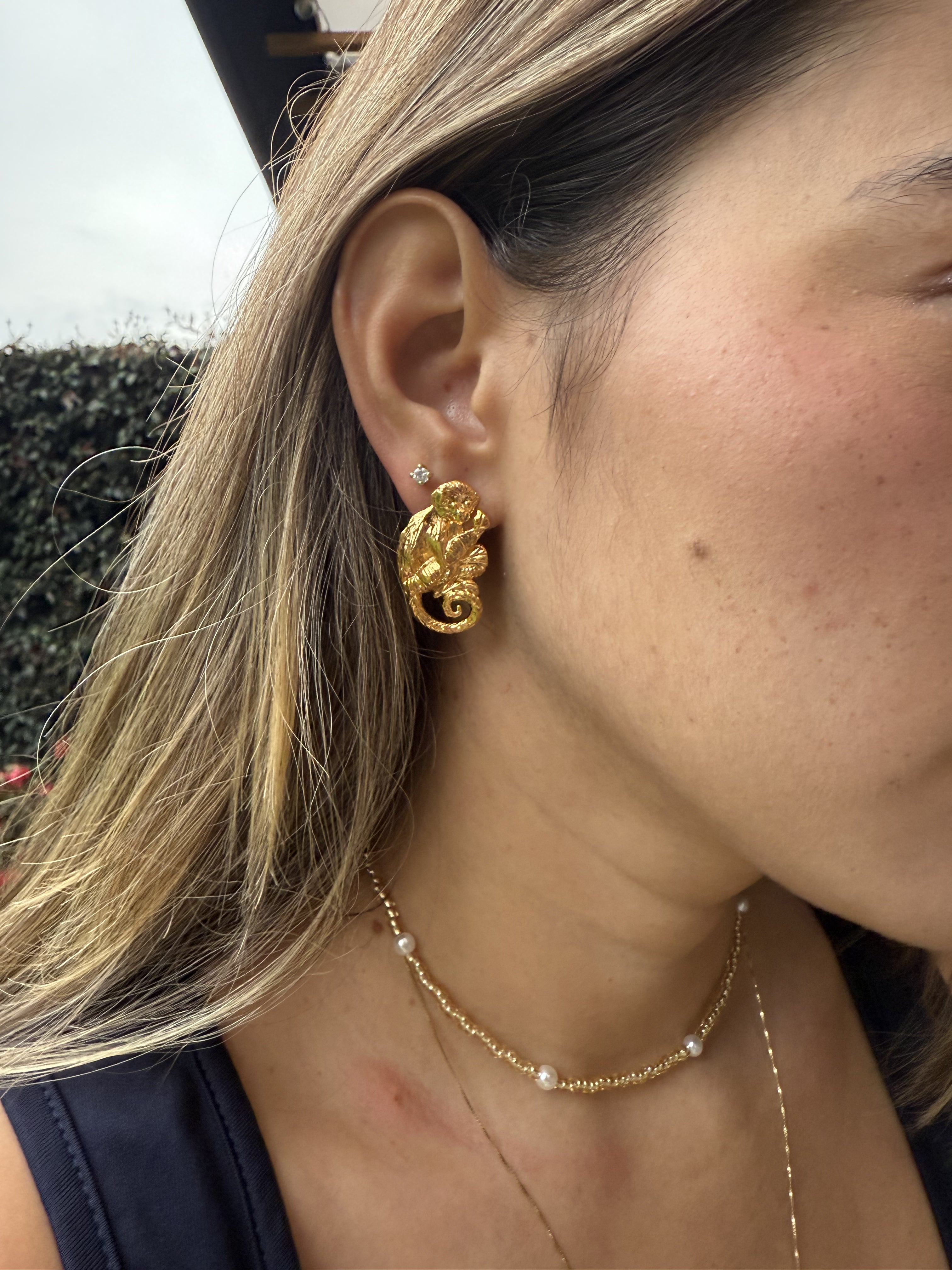 Salto del Amazonas Micos