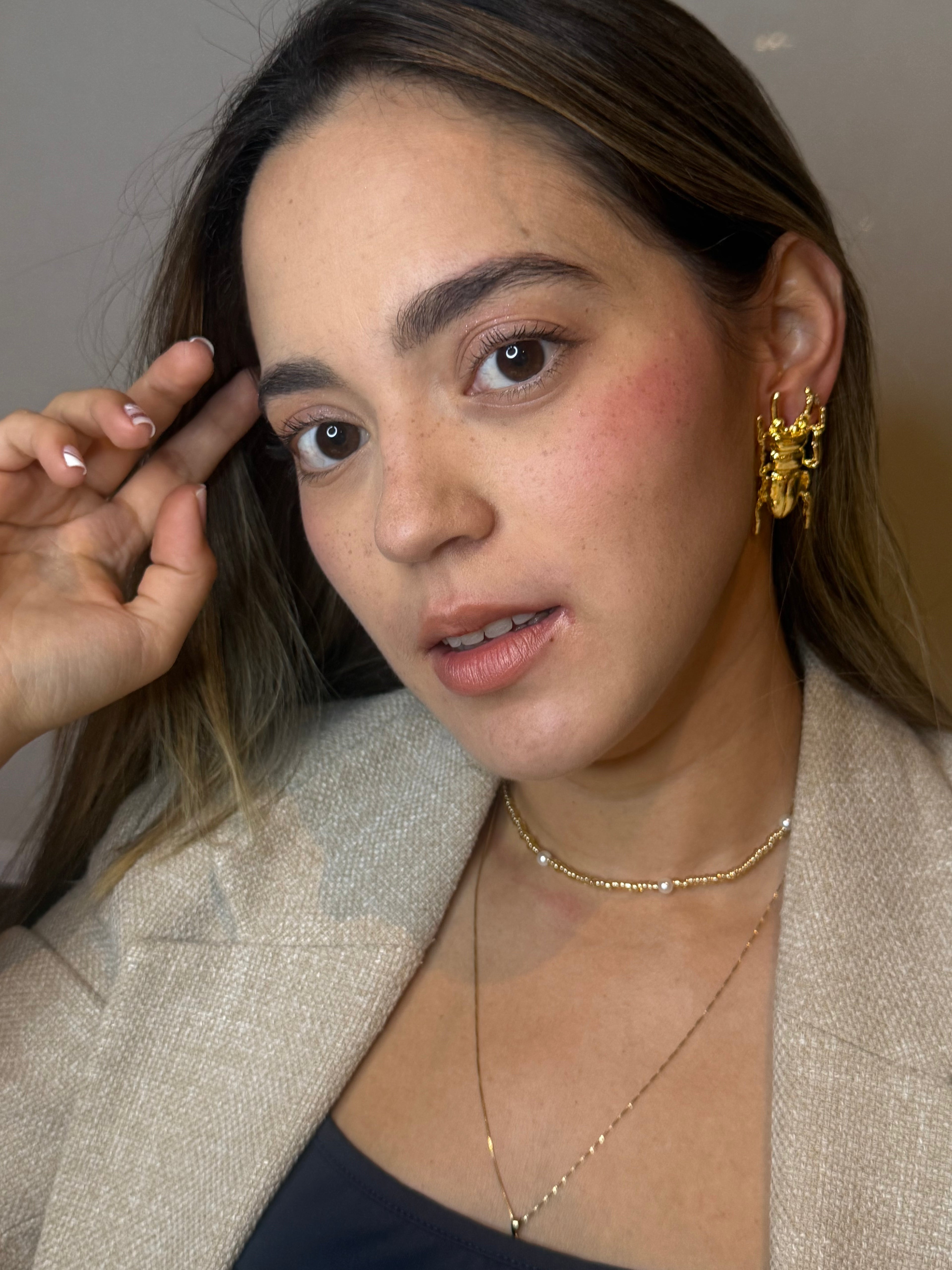 Tierra Escarabajos Largos