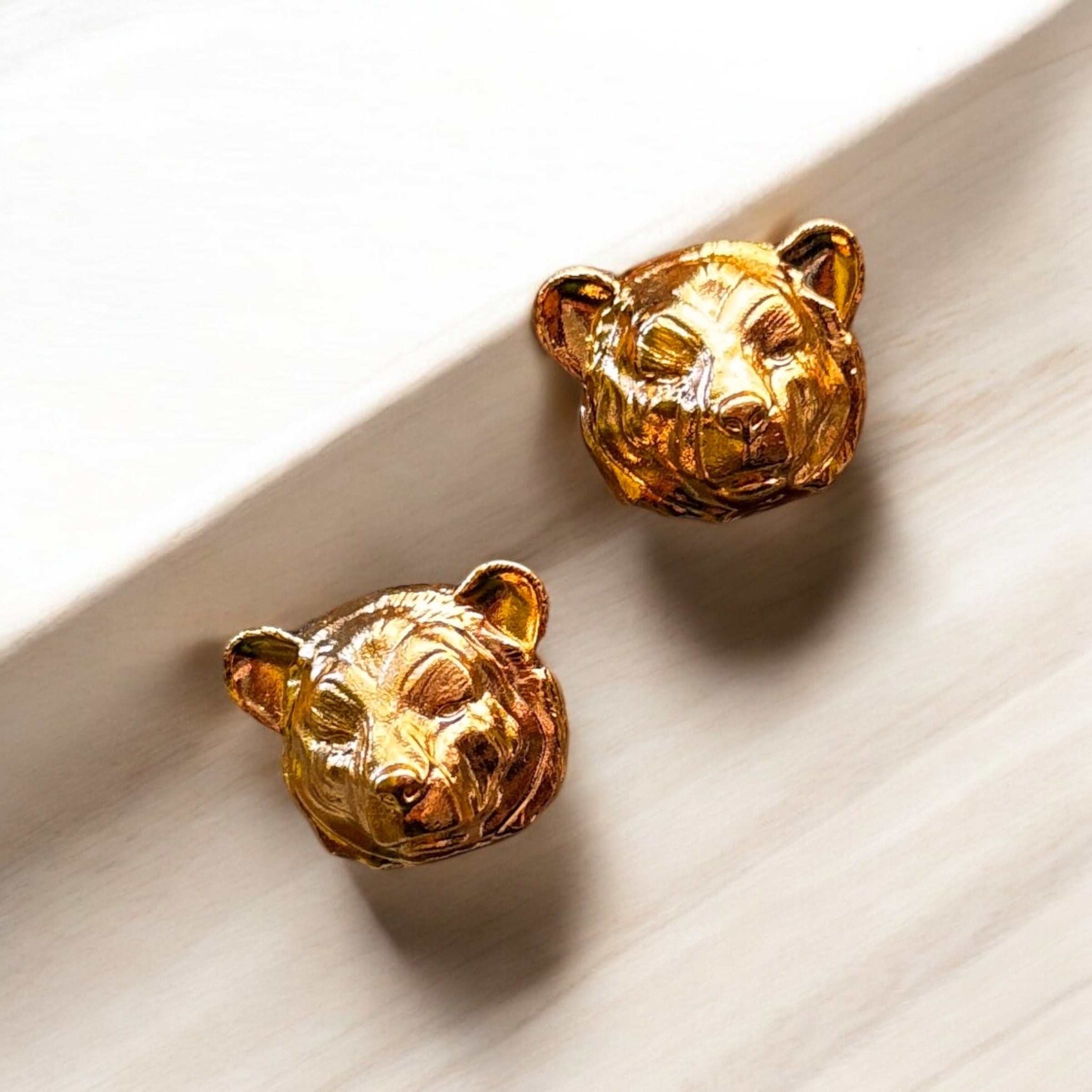 Huella del Páramo Osos