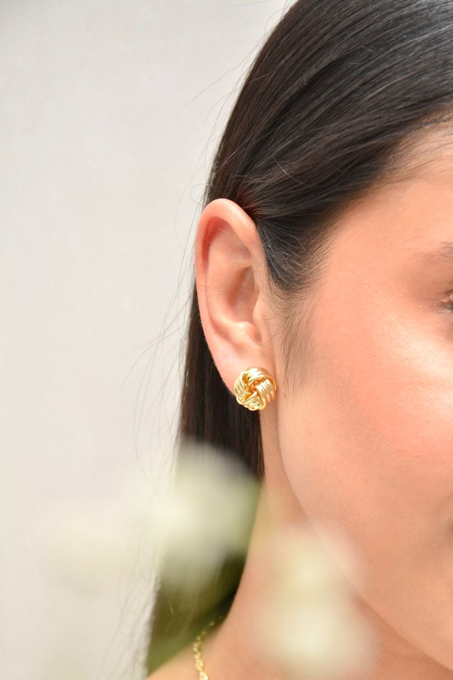 Aretes Enlace