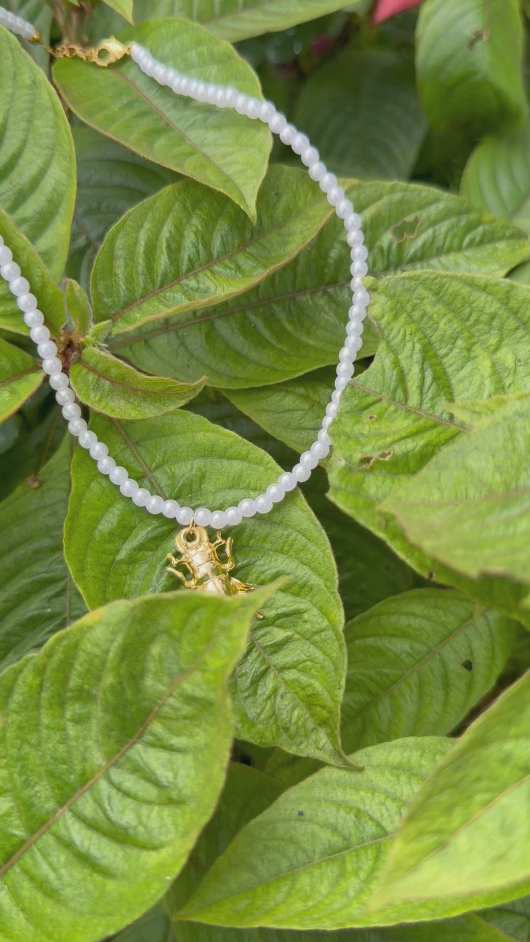 Cadena Perla Sagrada - Escarabajo