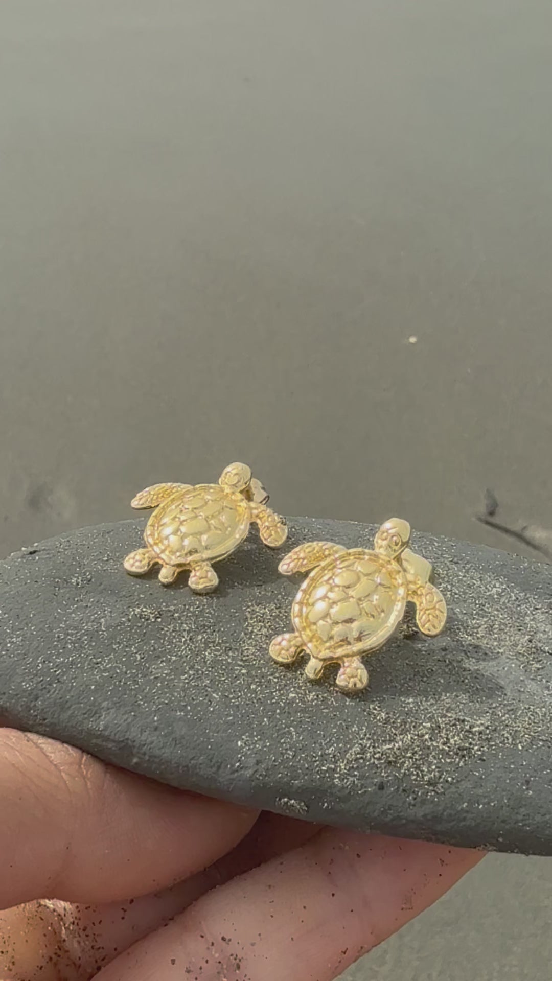 Florida Tortugas pequeñas